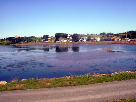 lagoon